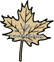 Maple leaf Bronze