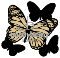 Butterfly flight Bronze