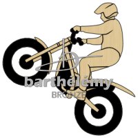 Offroad motorcycle Bronze